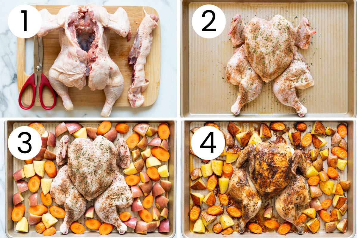 Step by step process how to spatchcock chicken and bake it with vegetables.