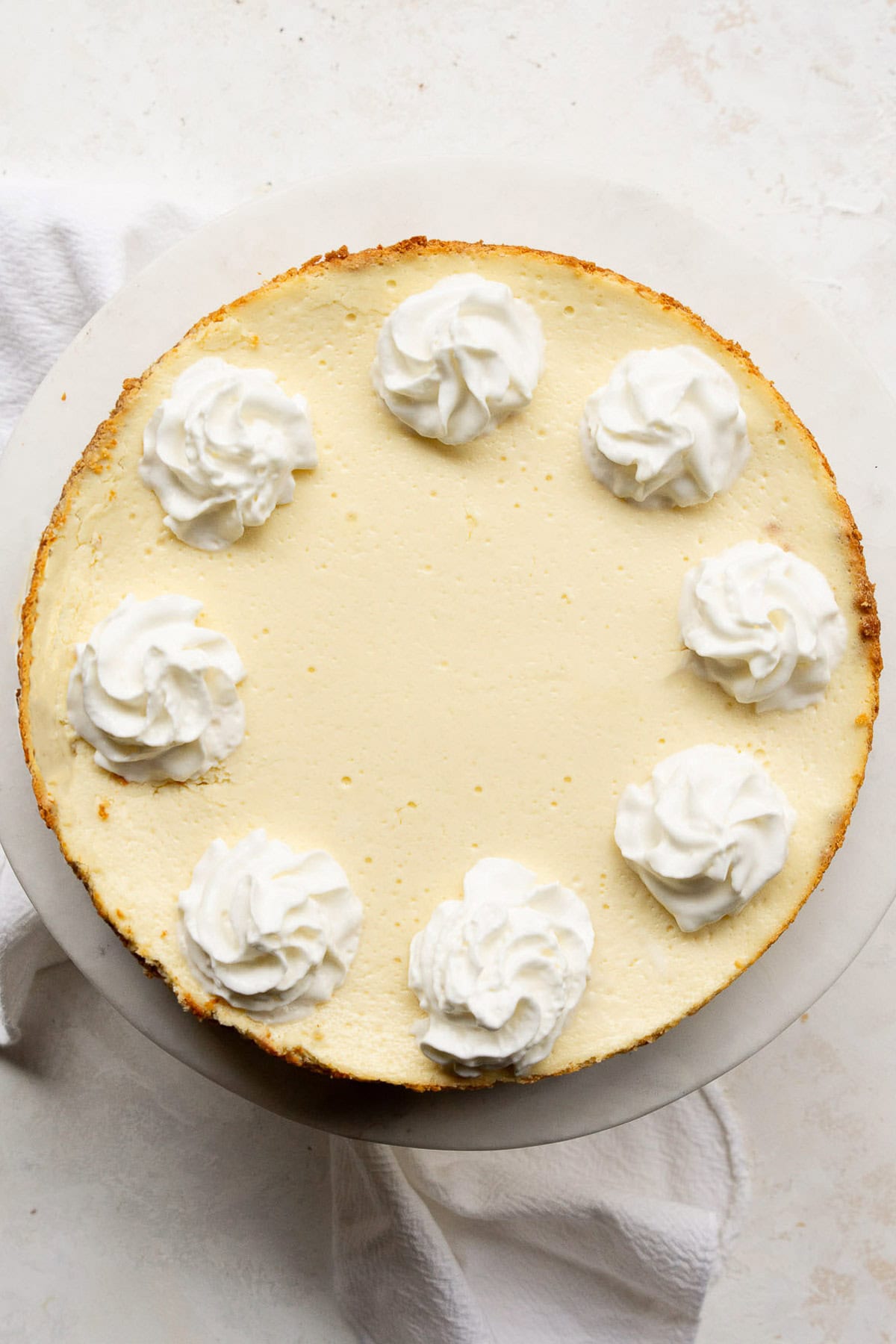 Cottage cheese cheesecake garnished with whipped cream.