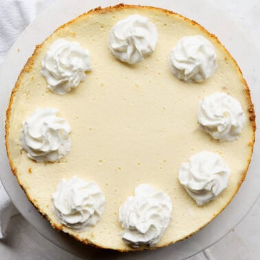 Cottage cheese cheesecake garnished with whipped cream.