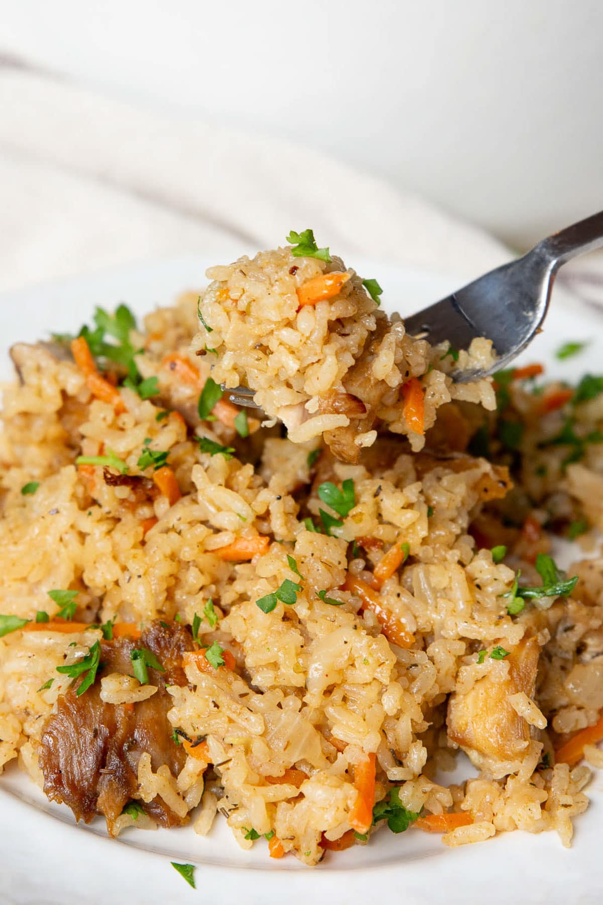 Closeup of chicken and rice scooped on a fork.