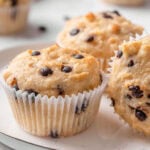 Cottage cheese muffins with chocolate chips on a plate.