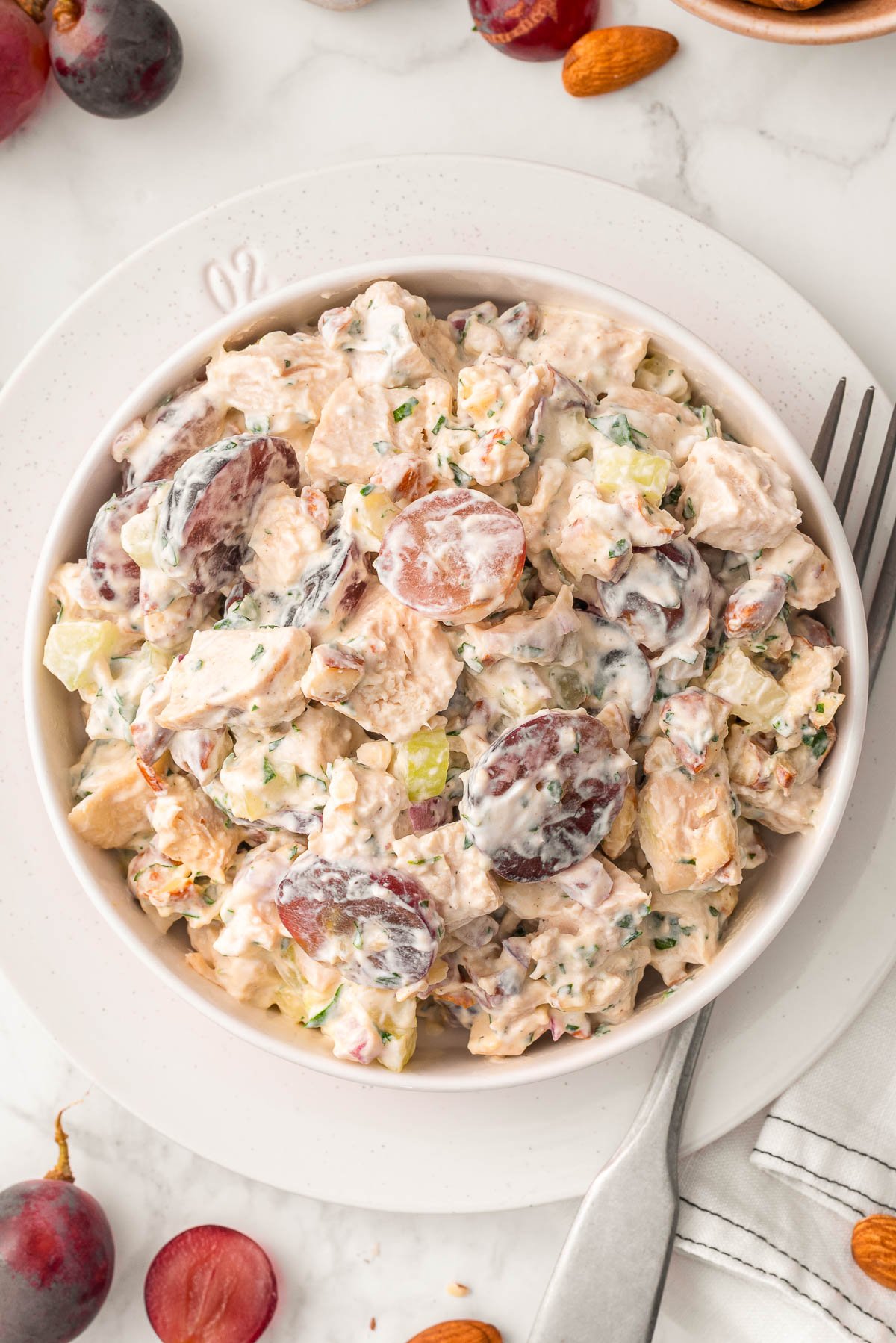 Looking down on a bowl with Greek yogurt chicken salad.