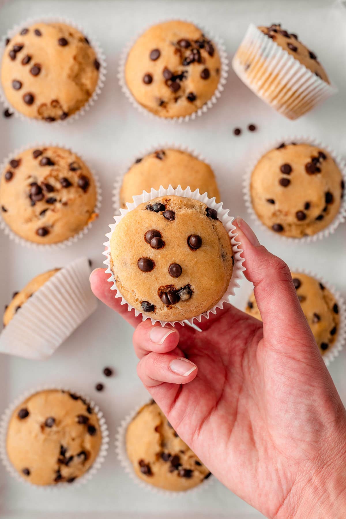 Person holding a kodiak cakes muffin in hand over more muffins on a platter.