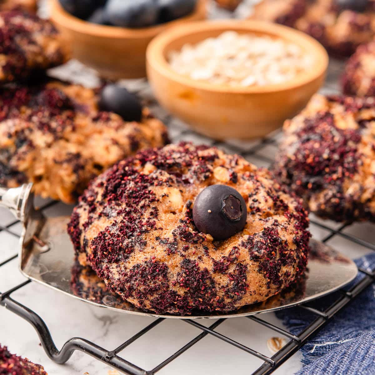 Blueberry Oatmeal Cookies