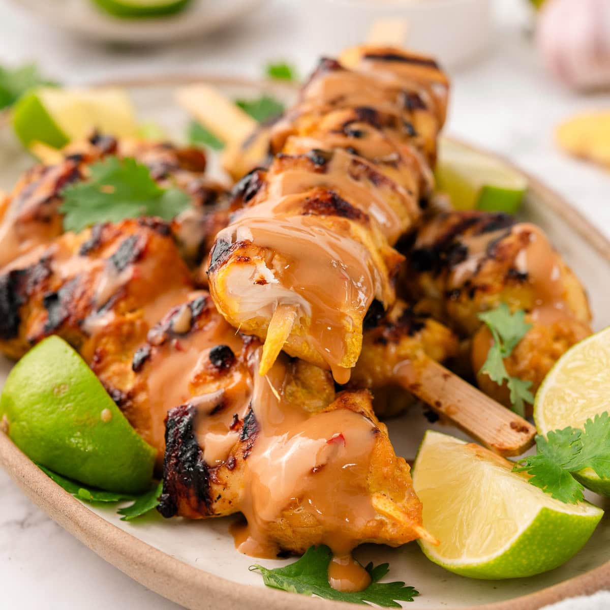 Chicken Satay with Peanut Sauce