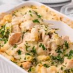 Baked chicken alfredo garnished with parsley.