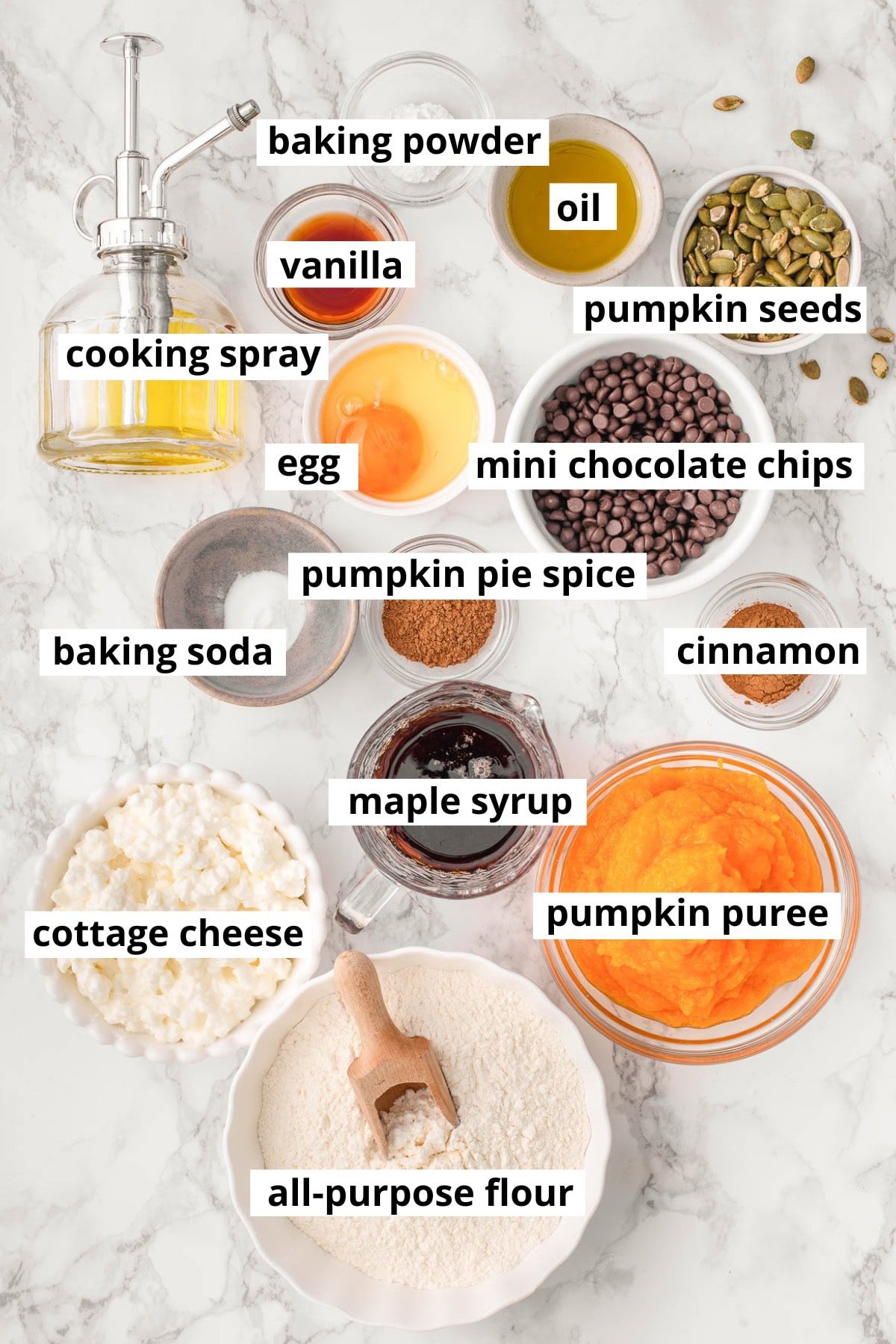 Cottage cheese, pumpkin puree, flour, maple syrup, oil, vanilla, cinnamon, pumpkin pie spice, pumpkin seeds, chocolate chips, egg, baking powder, baking soda.