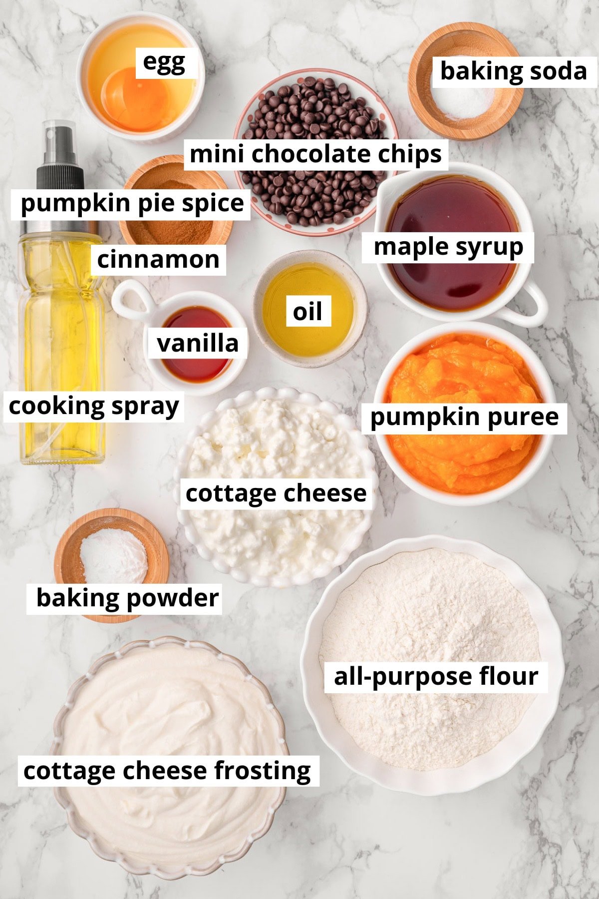Cottage cheese, pumpkin puree, flour, maple syrup, oil, vanilla, cinnamon, pumpkin pie spice, chocolate chips, egg, baking powder, baking soda cottage cheese frosting.