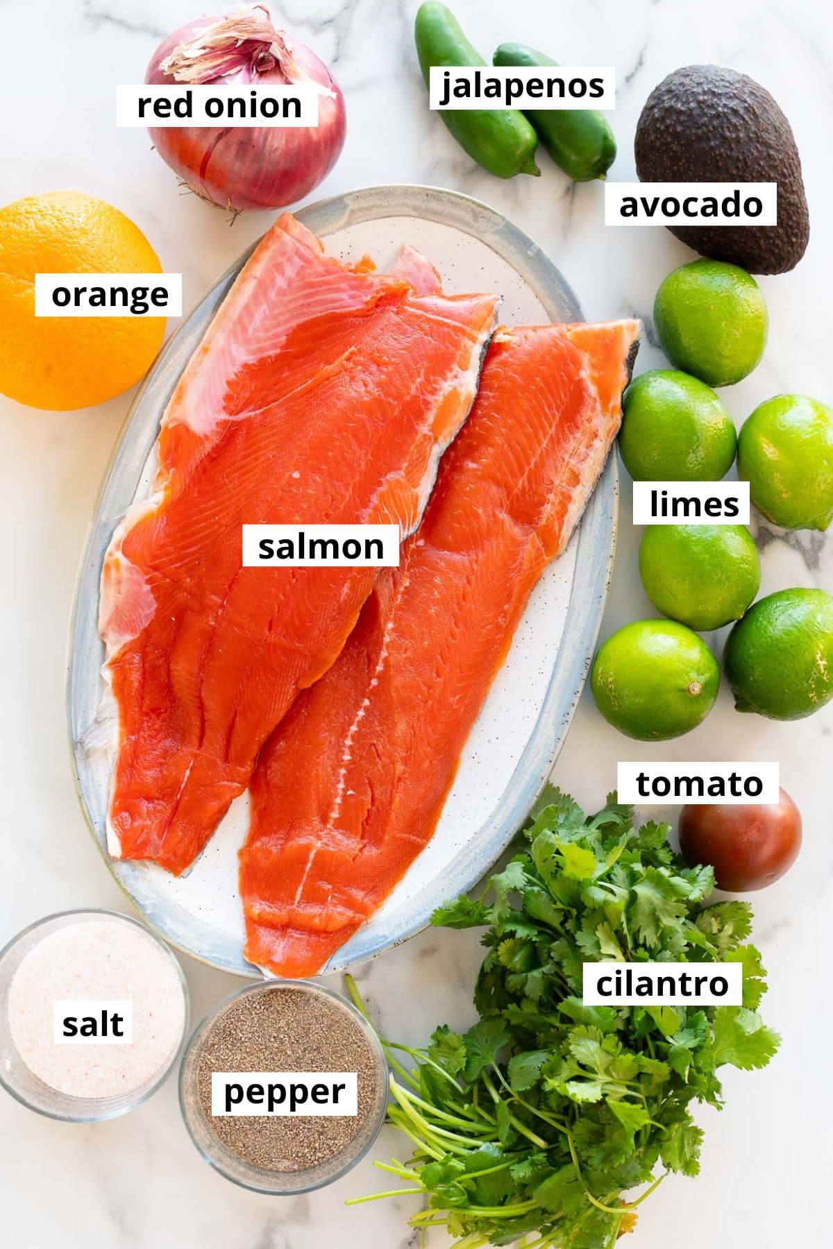 Salmon, cilantro, limes, orange, tomato, avocado, red onion, jalapenos, salt, pepper.